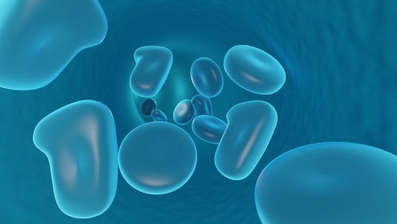 DESPITE OF AN EXHAUSTIVE MECHANISM OF DNA PROCESSING AND ITS HIGHLY STABLE STRUCTURE, DNA IS BOUND TO UNDERGO DAMAGE BY SEVERAL FACTORS