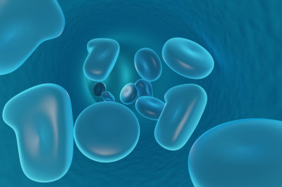 DESPITE OF AN EXHAUSTIVE MECHANISM OF DNA PROCESSING AND ITS HIGHLY STABLE STRUCTURE, DNA IS BOUND TO UNDERGO DAMAGE BY SEVERAL FACTORS