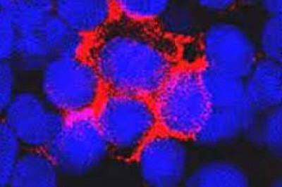 Human Coagulation Factor VIII Market Challenges to Current Therapies and Growth Forecast 2021 to 2026