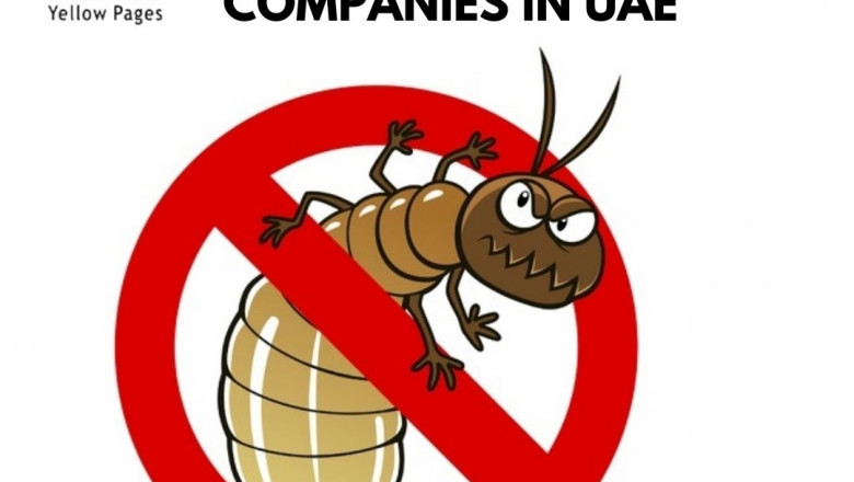 List of Termite & Pest Control Services & Companies in UAE