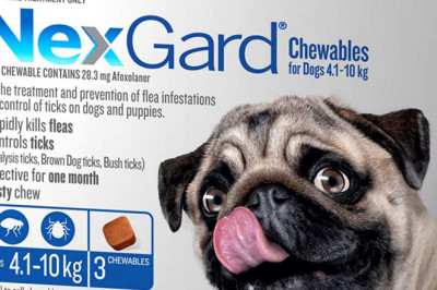 Nexgard Flea & Tick Monthly Chew for Dog 4 to 10Kg