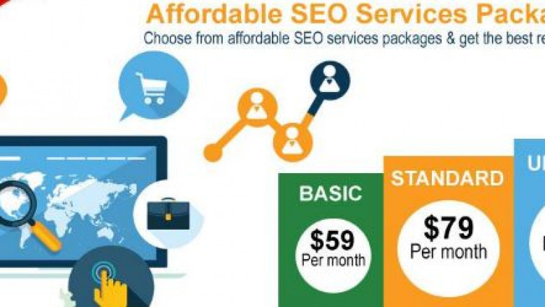 SEO Professionals