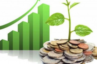 Unique Profitable Business Ideas