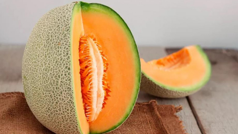 Can Dogs Eat Cantaloupe?