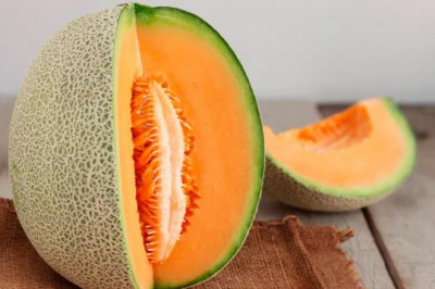 Can Dogs Eat Cantaloupe?