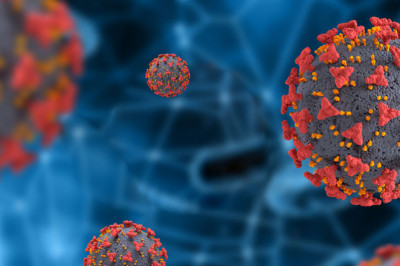 Eosinophilic Esophagitis (EoE) Market Size, Share, Global Industry by Trend Analysis, Growth Status, Revenue Expectation to 2027|