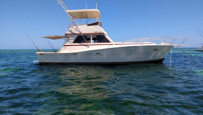 Why Saona Catamaran is so popular in Punta Cana?
