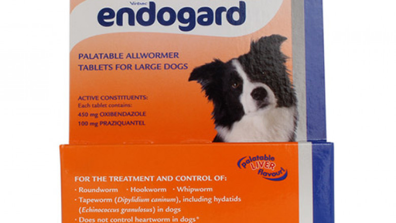 Endogard For Dogs For Large Dogs 20Kg (Orange)
