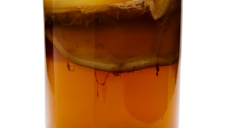 Kombucha Market Growth Analysis, Business Opportunities during Forecast 2021-2026