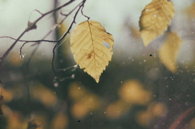 pedicure chair choices give some thought to for acquire nail salon