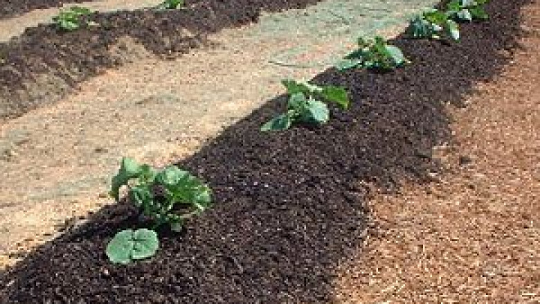 Biosolids Market Top Competitor Analysis, Growth Aspects during Forecast 2026