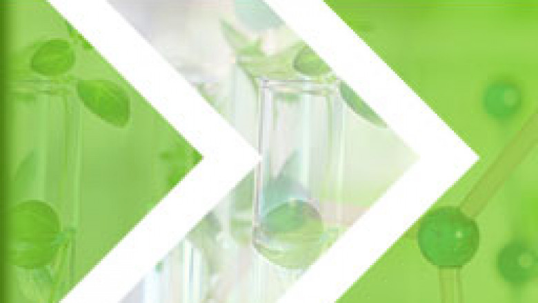 Dihydropyridine Market Size - Global Outlook and Forecast 2021-2027