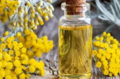Immortelle Extract Market Increasing Demand, Driving Growth and Opportunity Outlook 2026