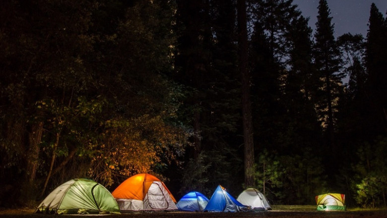 Kasauli Wilderness Camps || Camps In Kasauli