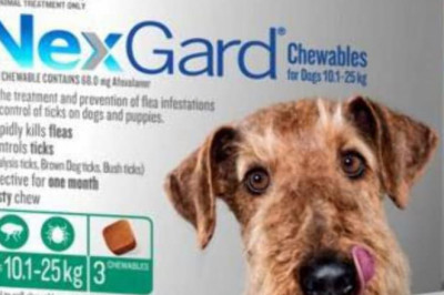 Nexgard Flea & Tick Monthly Chew for Dog 10 to 25 Kg