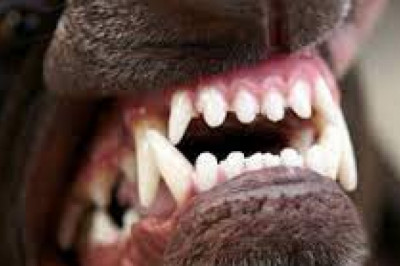 Personal Injury Attorney in Menifee