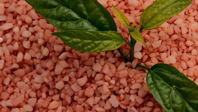 Potash Fertilizers Market Size Forecast to Reach $30.5 Billion by 2025
