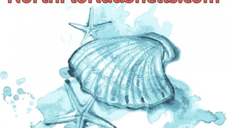 Starfish and Sand Dollars as a Decorative Item (Real ones not artificial)