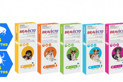 BRAVECTO Spot ON protects your Dogs for 6 months from Flea and Tick