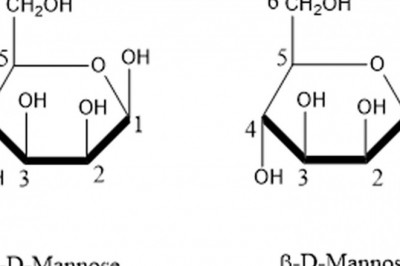D-Mannose Market Demand, Recent Trends, Business Strategies and Forecast to 2026
