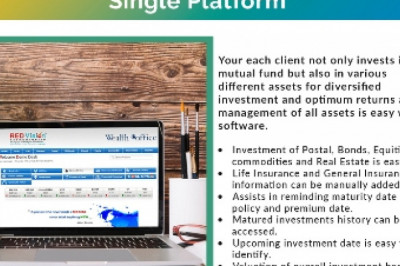 Does Mutual Fund Software display assets allocation?