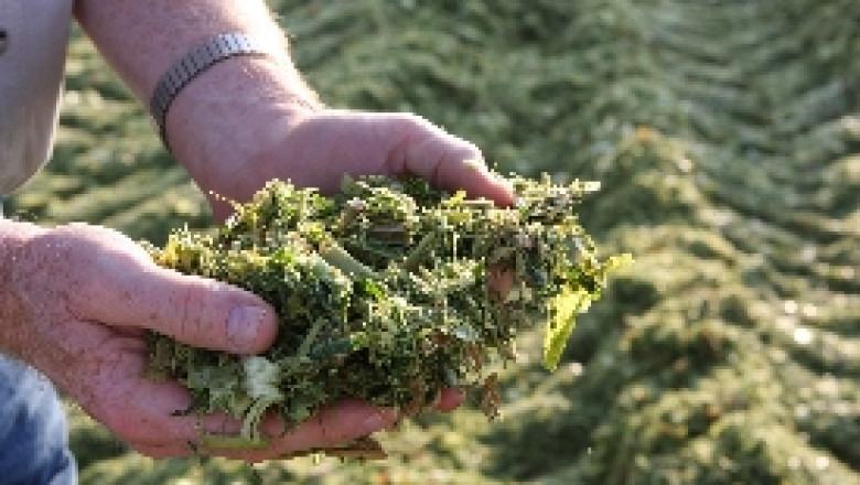https://www.theexpresswire.com/pressrelease/Silage-Inoculants-Enzymes-Market-Size-Forecast-to-Reach-62416-Million-by-2025_11949418