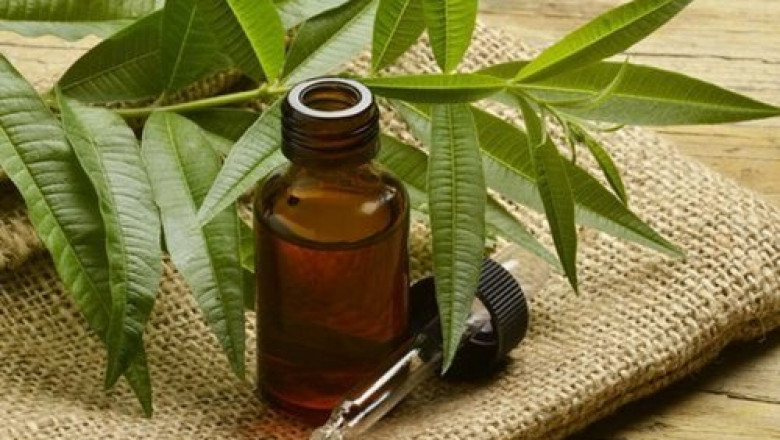 Tea Tree Oil Market Size Forecast to Reach $61.37 Million by 2025