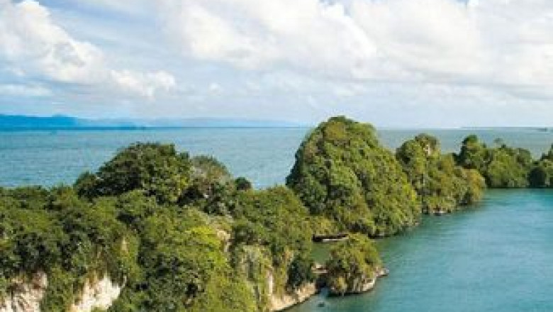 Explore the Samana Whale Watching Excursions