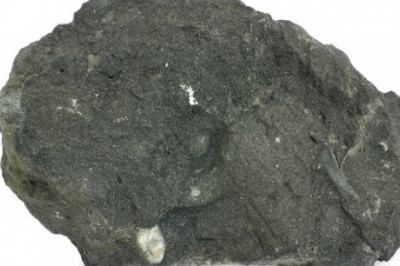 Hydroxyapatite Market Size, Share | Global Industry Analysis Report and Forecast 2023 | TechSci Research