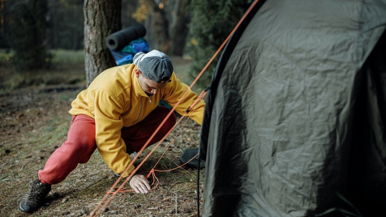 Kasauli Wilderness Camps || Stays and Pricing