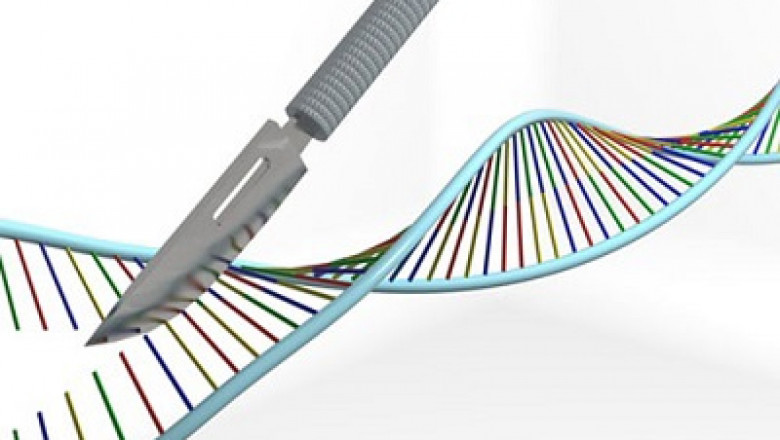 Genetic Engineering Tool Market to Grow with Advancing Biotech Sector During the Forecast Period | TechSci Research