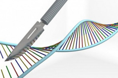 Genetic Engineering Tool Market to Grow with Advancing Biotech Sector During the Forecast Period | TechSci Research