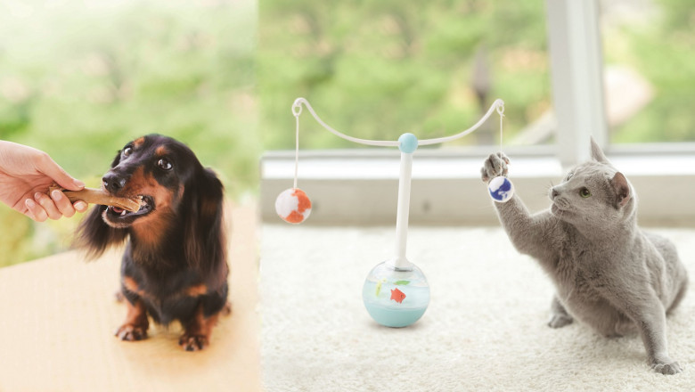 The Growing Preference For New Technologies Is Expected To Fuel The Growth Of The Companion Animal Drugs Market Over The Forecast Period