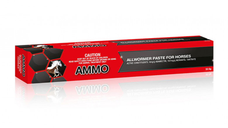 Ammo Allwormer Paste For Horses Online | DiscountPetCare