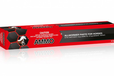 Ammo Allwormer Paste For Horses Online | DiscountPetCare