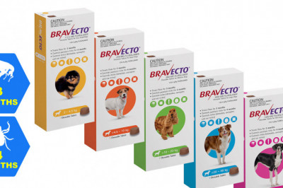 BRAVECTO 1 Chews for Dogs 3 Months protection from Flea and Tick
