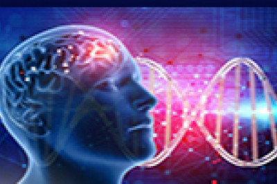 Global Artificial Neural Network Software Market Size, Status and Forecast 2021-2027