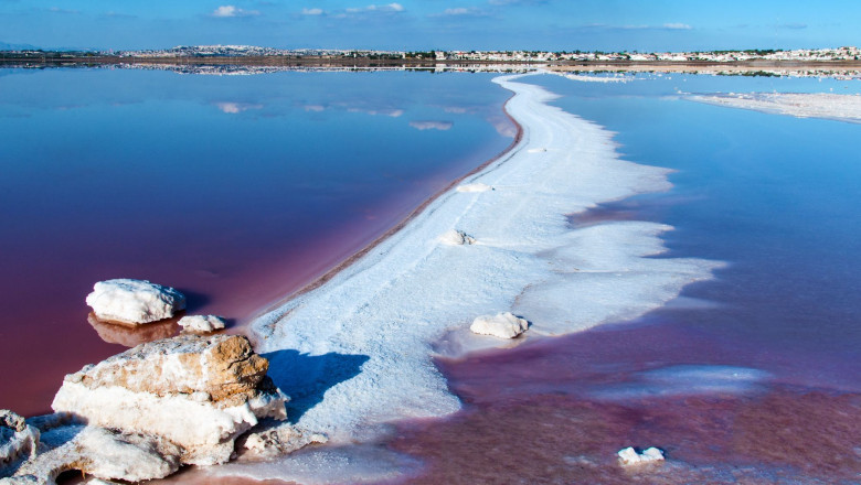 How To Get Guidance For Getting Spanish Residency?