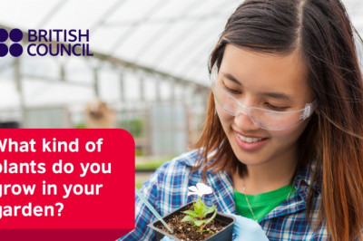 Is the IELTS certificate without exam verifiable on the official website?