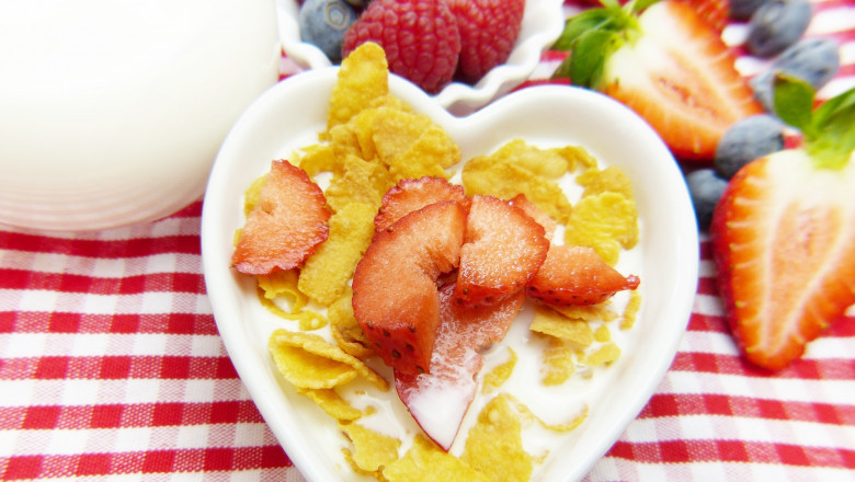 Lactose-Free Dairy Products Market Outlook by 2026