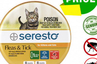 SERESTO Collar for Cats Tick and Flea Control