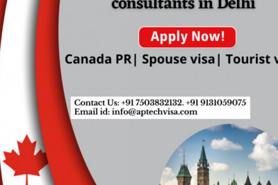 Vancouver, Toronto, and Edmonton are the most likely destinations for Canadian immigrants.