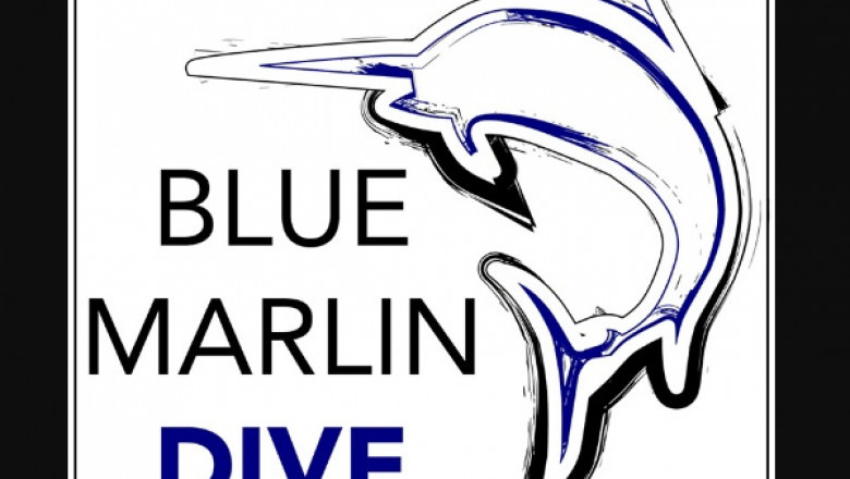 5 Career Possibilities For Certified Scuba Divers