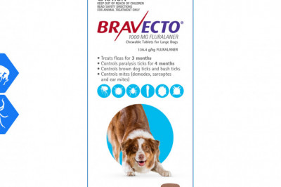BRAVECTO 2 Chews for 20-40Kg Dogs 3 Months protection from Flea and Tick