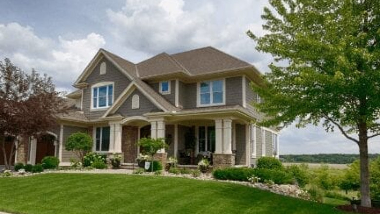 Detect If Termites Are Present In Your House Or Not?