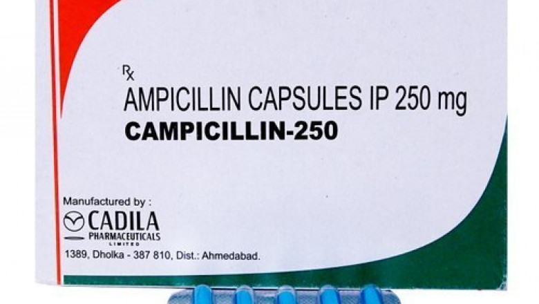 Ampicillin Campicillin - onlinecheaprx.com