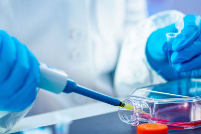 Ayurvedic Pharma Franchise in Chandigarh