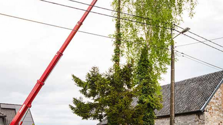 AKA Tree Service: The Best Emergency Tree Removal Service In Atlanta