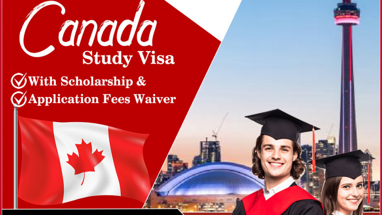 Best Study Visa Consultants In Chandigarh | Expert Immigration Services