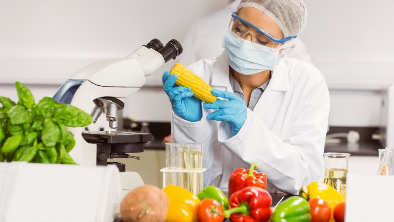 Food Nanotechnology Market to Show Incredible Growth by 2027 with Major Players like Aquanova, BASF,